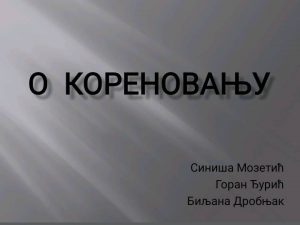 Predavanje u Šestoj beogradskoj gimnaziji